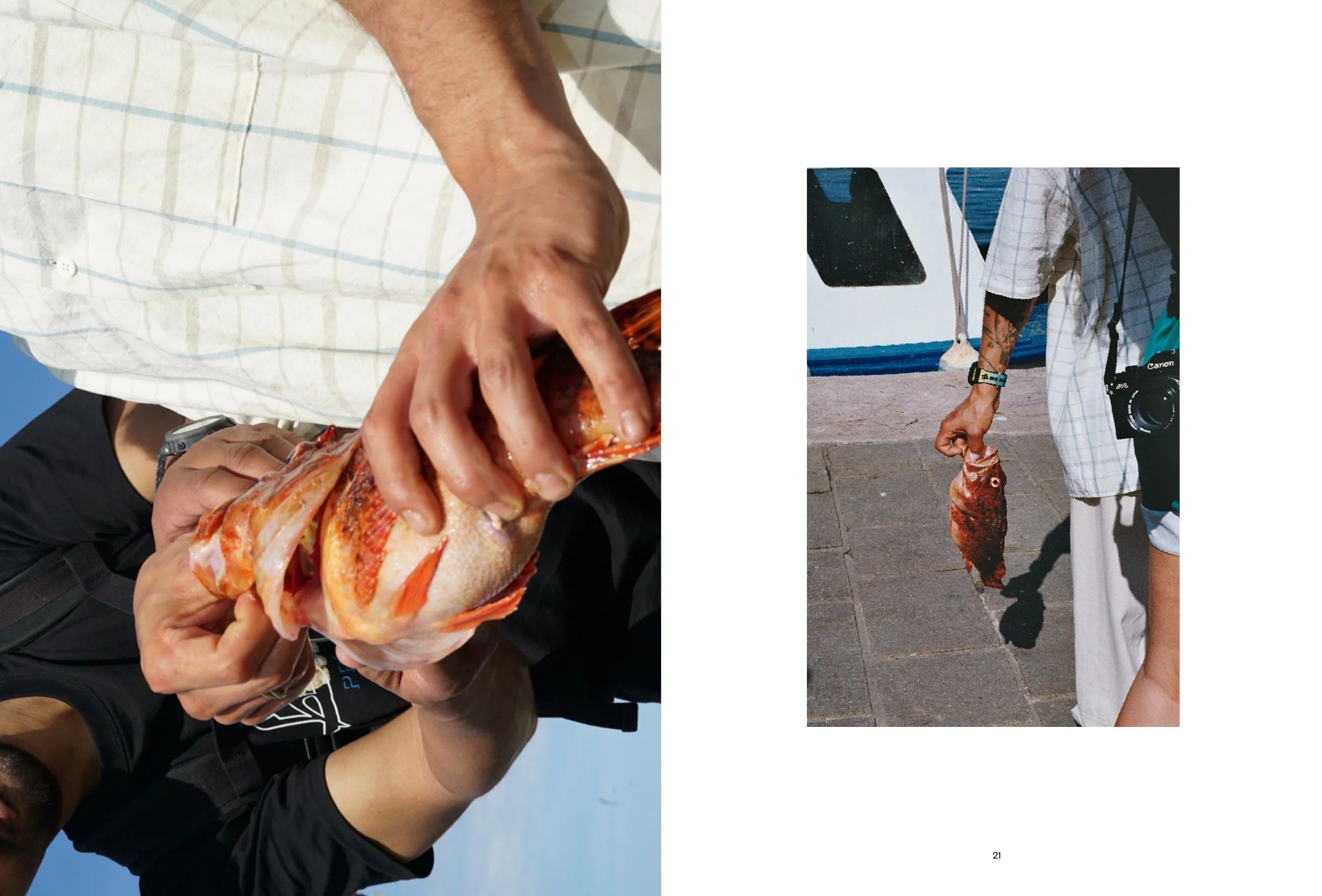 TAKE AWAY MAGAZINE NUMERO 1 – visuel 6